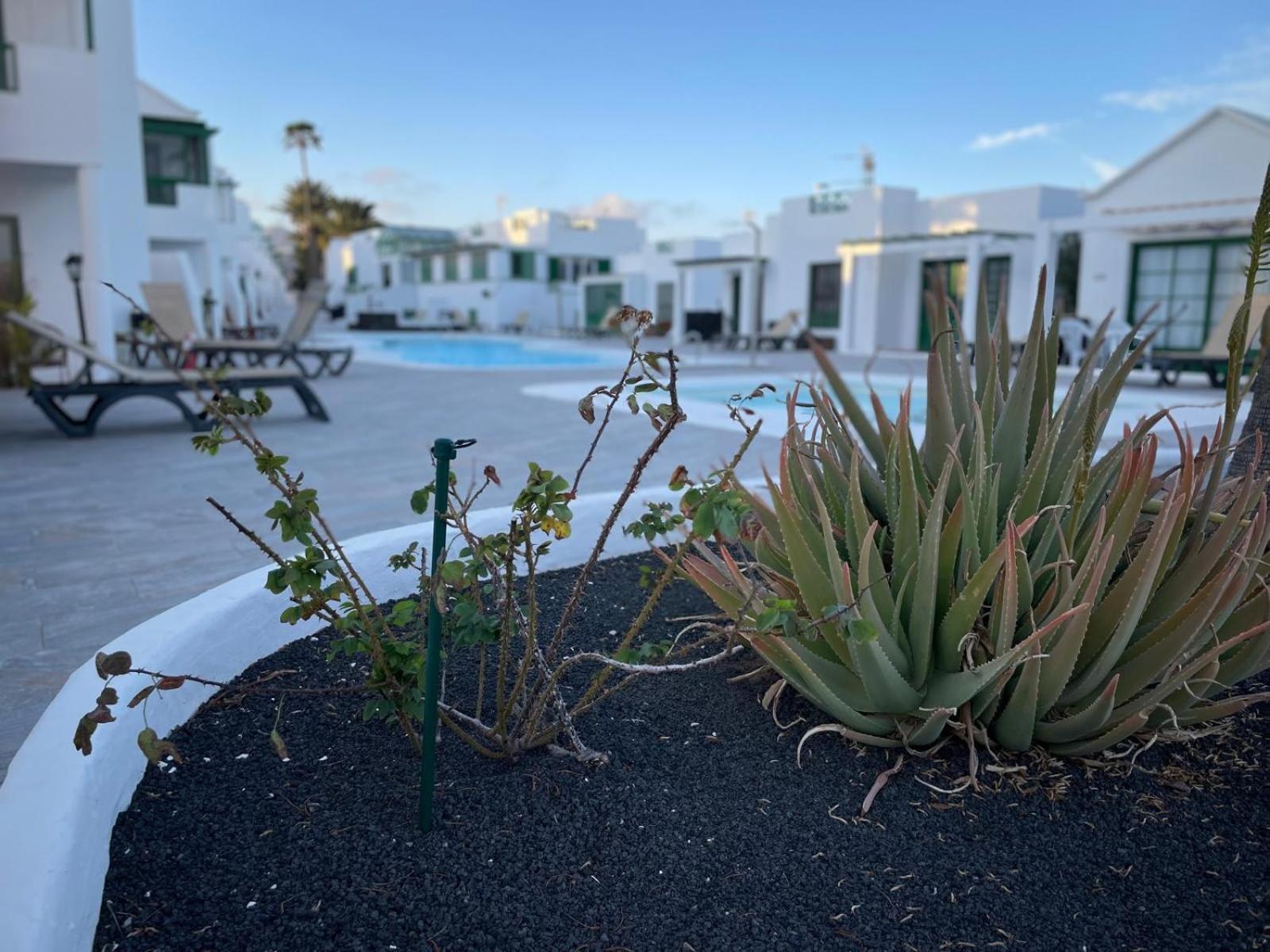 Casa Buganvilla Apartament Puerto del Carmen (Lanzarote)